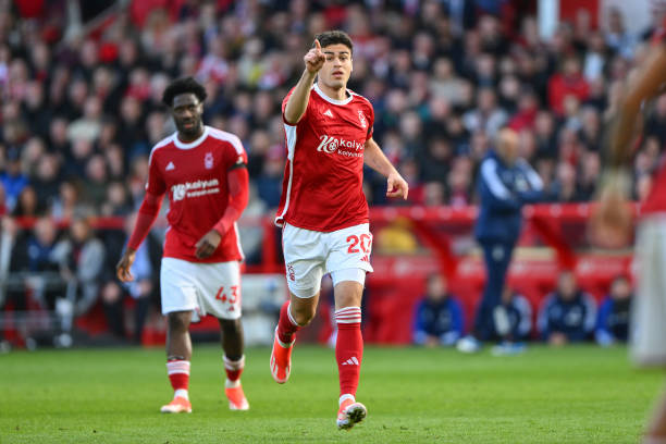 语言多样性 语言多样性