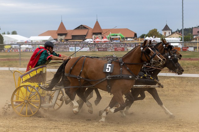 离不开多方 离不开多方