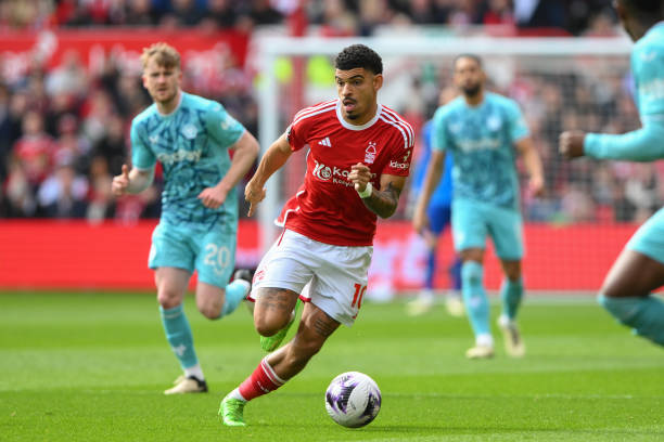 究竟发生了 究竟发生了